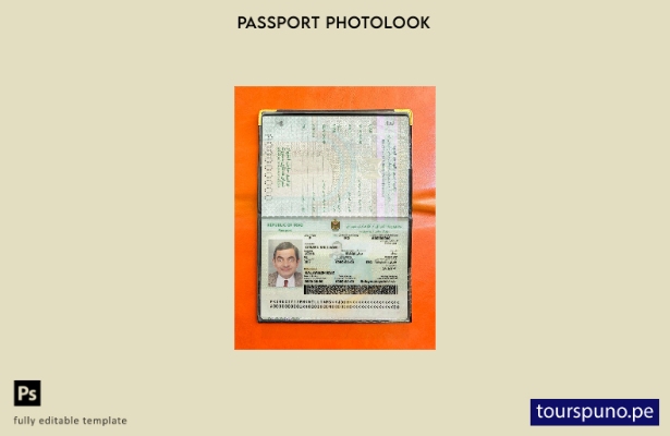 listo para imprimir la plantilla de presentación fotográfica del pasaporte iraqu